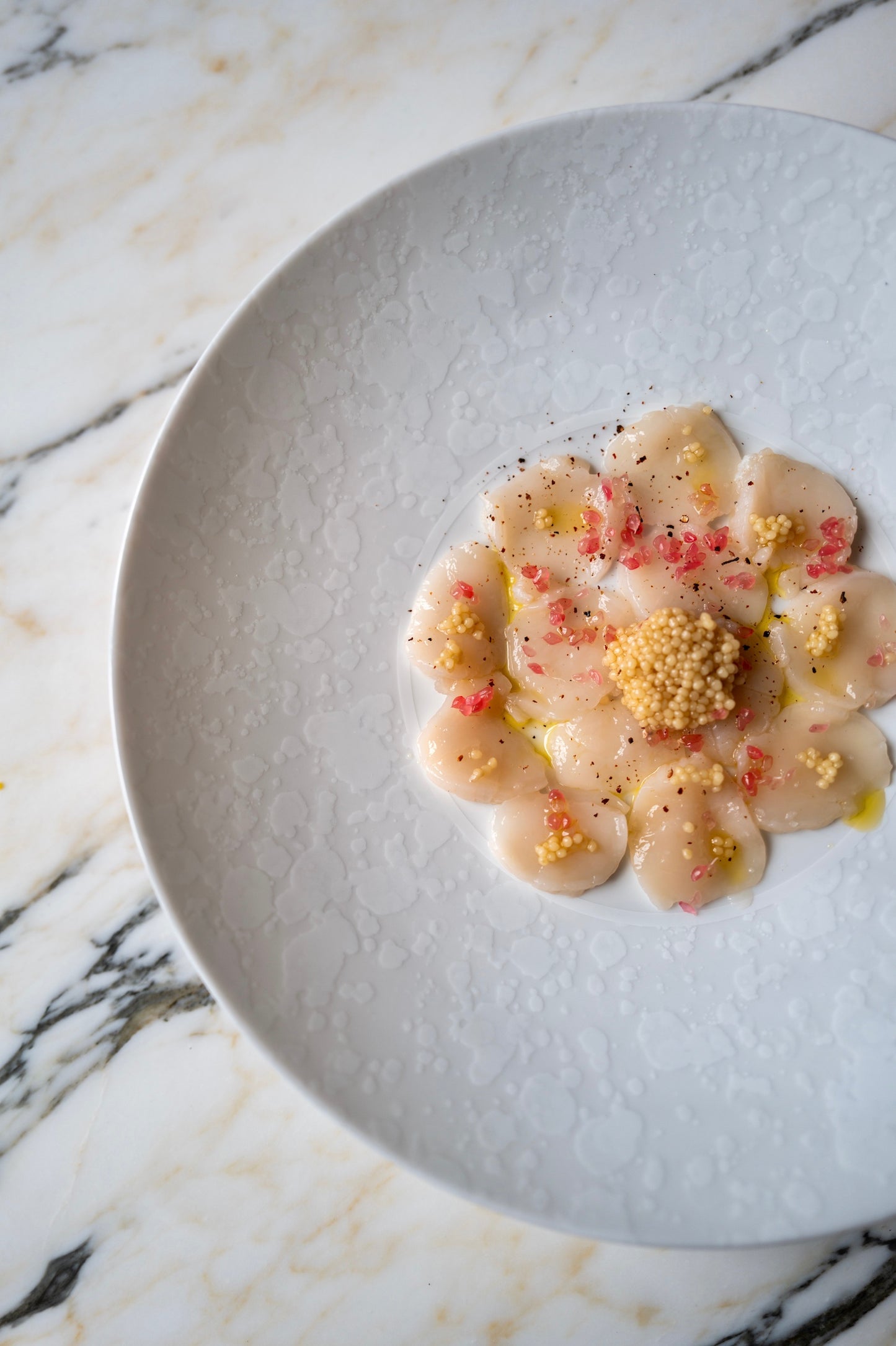 Assiette à dîner - Éclipse Blanche