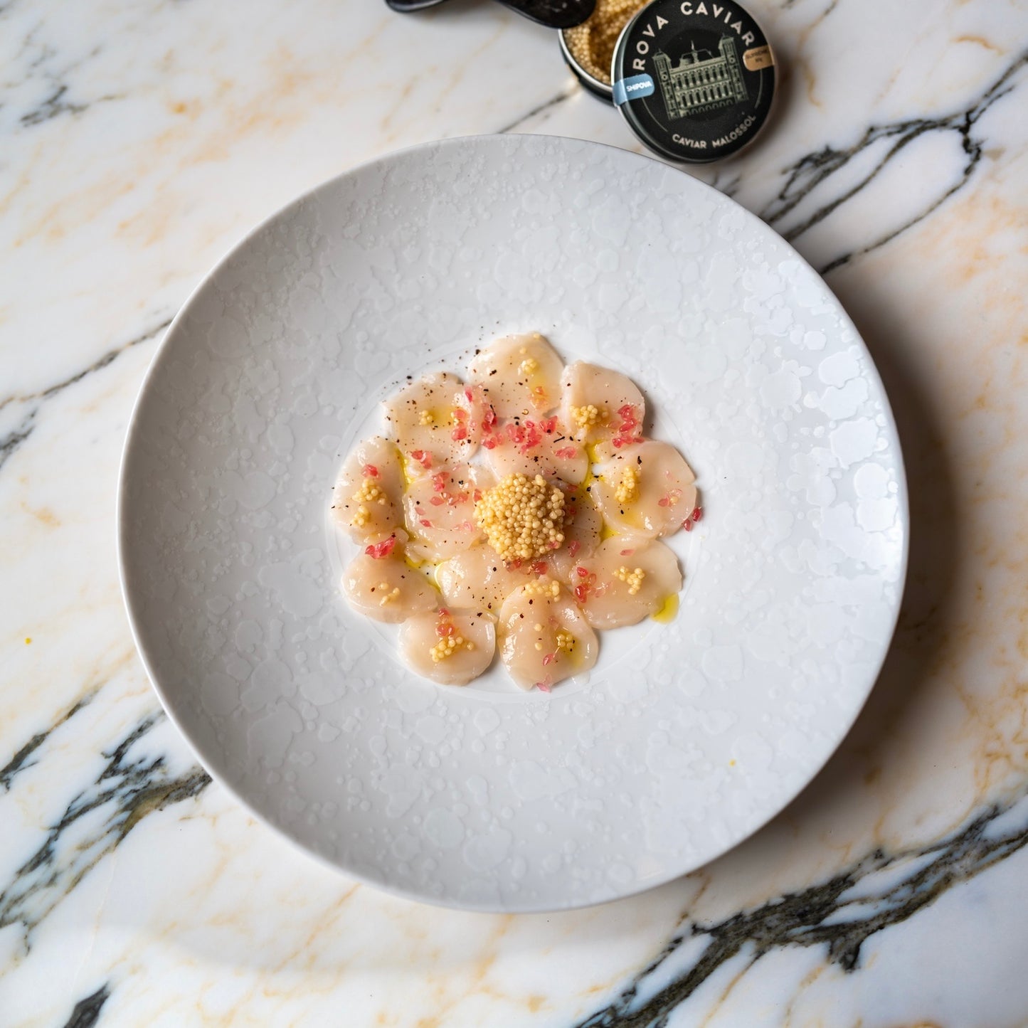 Assiette à dîner - Éclipse Blanche