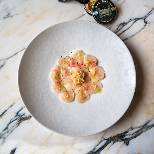 Assiette à dîner - Éclipse Blanche