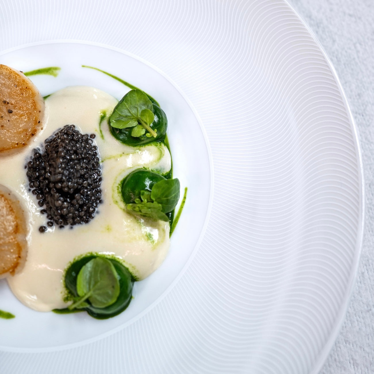 Assiette à dîner - Illusion Blanche