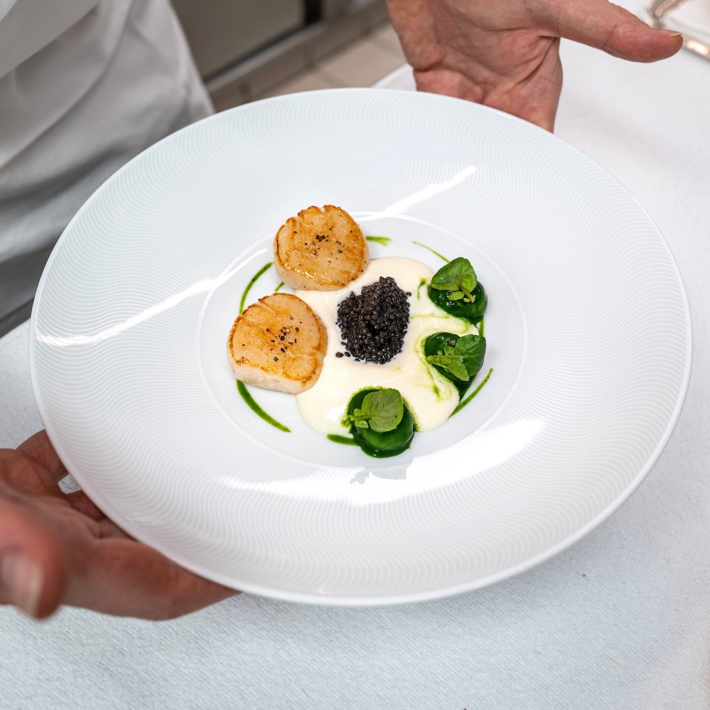 Assiette à dîner - Illusion Blanche